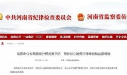 信阳最全消息爆料新闻,揭秘城市热点事件与幕后真相